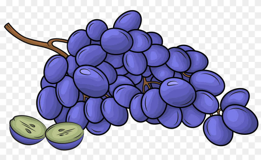 1920x1182 Black Grapes Food, Fruit, Plant, Produce Clipart PNG