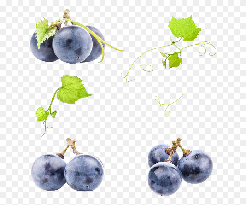 640x643 Black Grapes Photo Grape, Blueberry, Fruit, Plant HD PNG Download