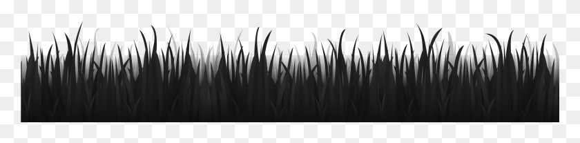 3334x632 Black Grass Grass Black And White, Lighting, Spotlight, Led HD PNG Download