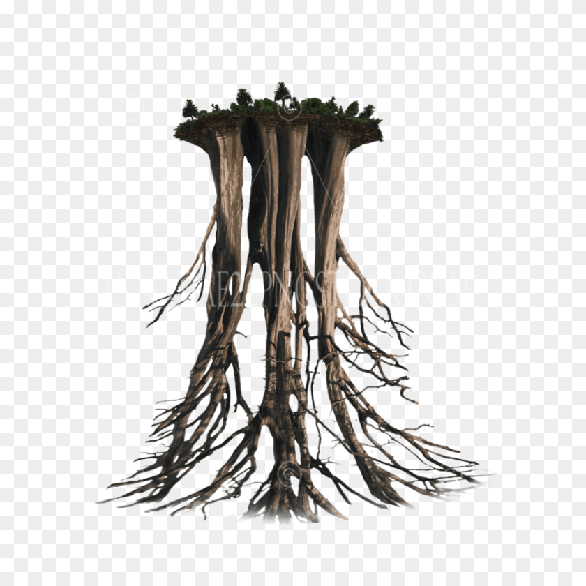 Black Hearts Are Not Born They Burned, Plant, Tree, Root, Cross PNG