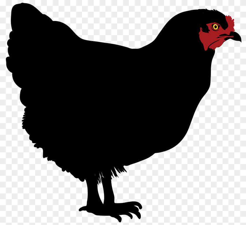 Black Hen Clipart, Animal, Bird, Chicken, Fowl Transparent PNG