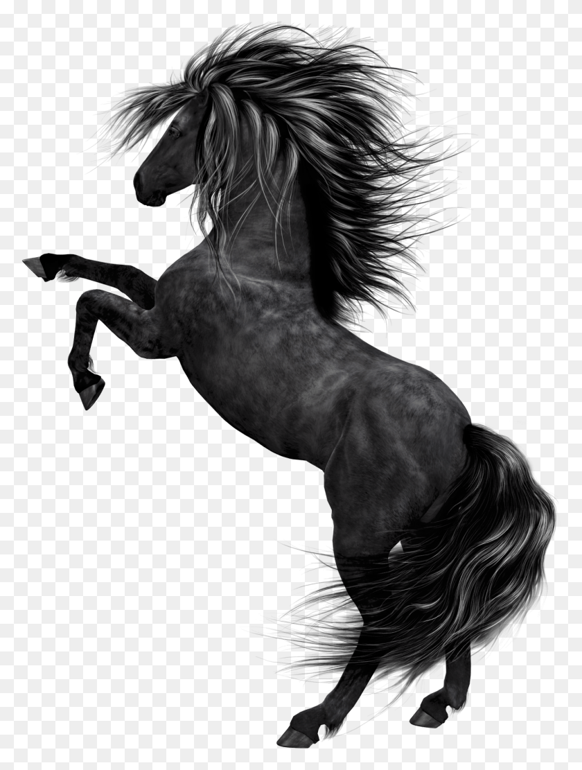 1298x1750 Black Horse Black Horse, Mammal, Animal, Back HD PNG Download
