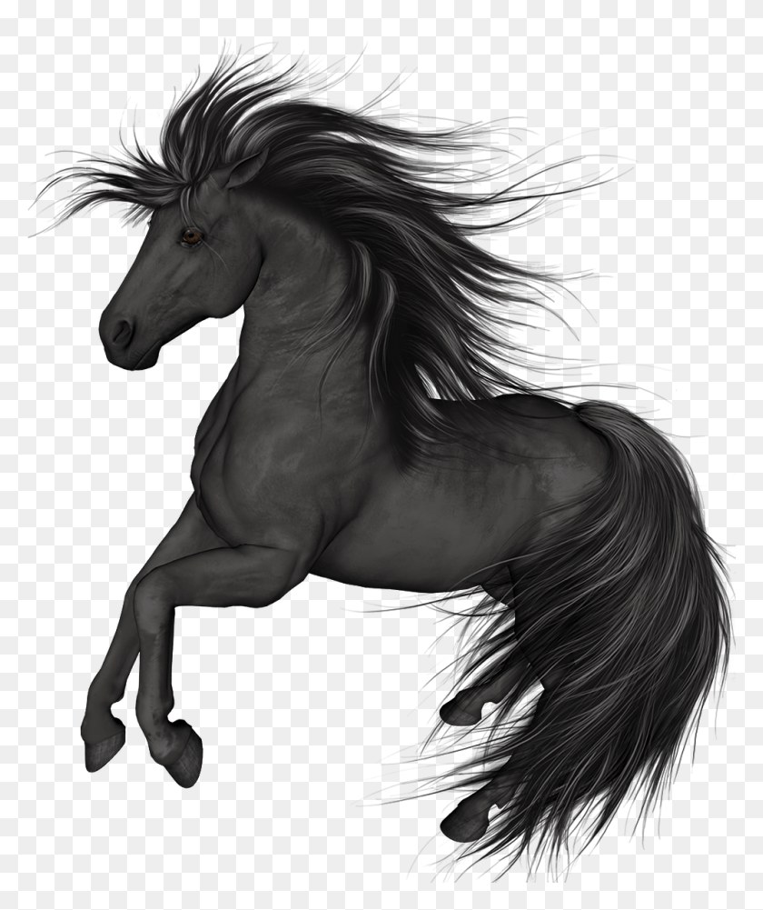 995x1201 Black Horse Clip Art Horse, Mammal, Animal, Person HD PNG Download