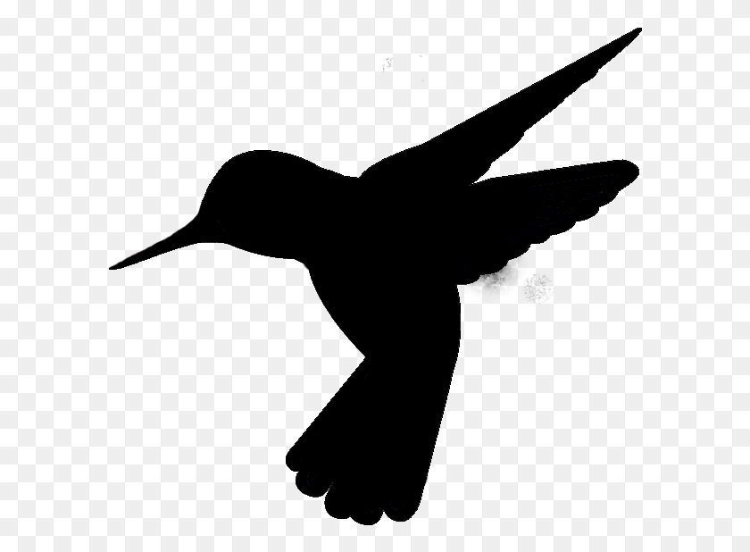 598x558 Черный Колибри, На Открытом Воздухе, Природа Hd Png Скачать