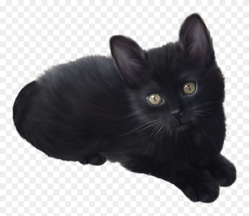 1431x1231 Black Kitten Clipart Black Kitten Clip Art, Black Cat, Cat, Pet HD PNG Download