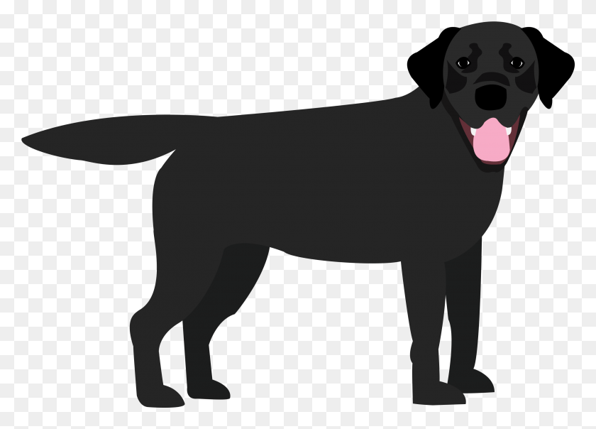 2953x2063 Black Labrador Dog Catches Something, Horse, Mammal, Animal HD PNG Download