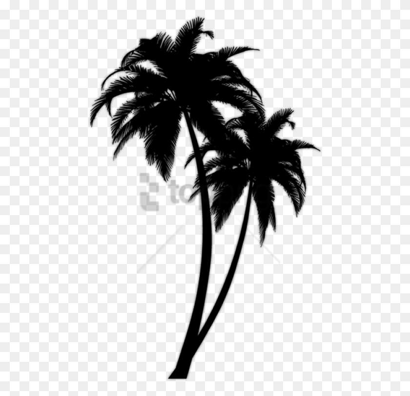 480x750 Black Palm Tree, Stencil, Symbol HD PNG Download