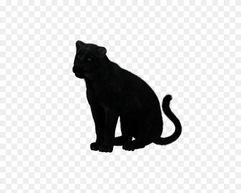 1280x1024 Black Panther Sitting, Animal, Mammal, Wildlife, Cat Sticker PNG