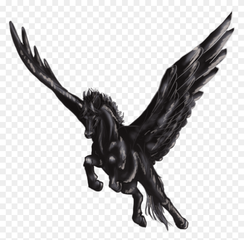 900x884 Black Pegasus Pegasus, Bird, Animal, Dragon HD PNG Download
