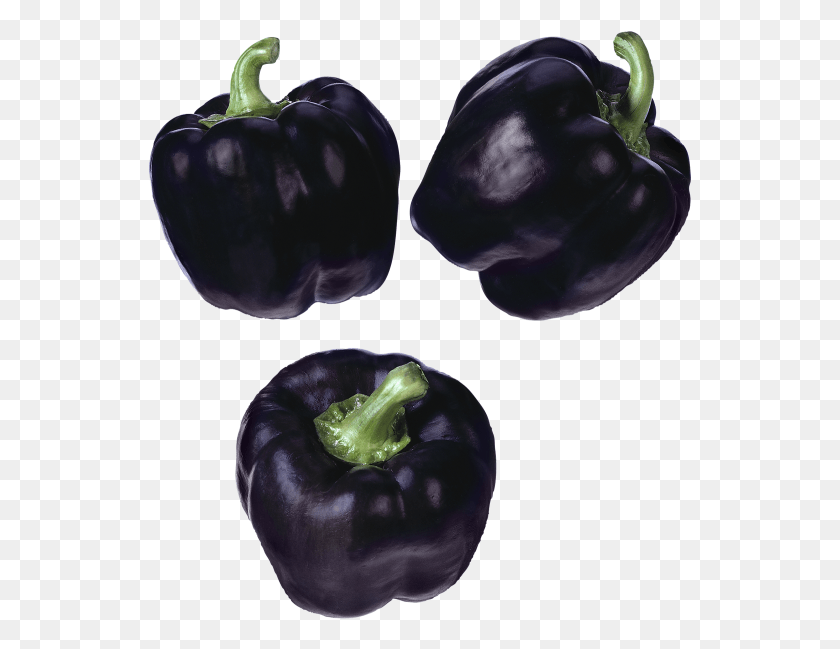 543x589 Black Pepper Dark Purple Pepper, Plant, Vegetable, Food HD PNG Download