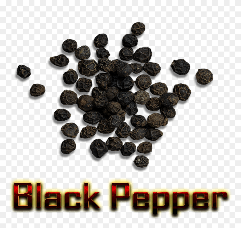 1136x1072 Black Pepper Logo, Coin, Money, Nickel HD PNG Download