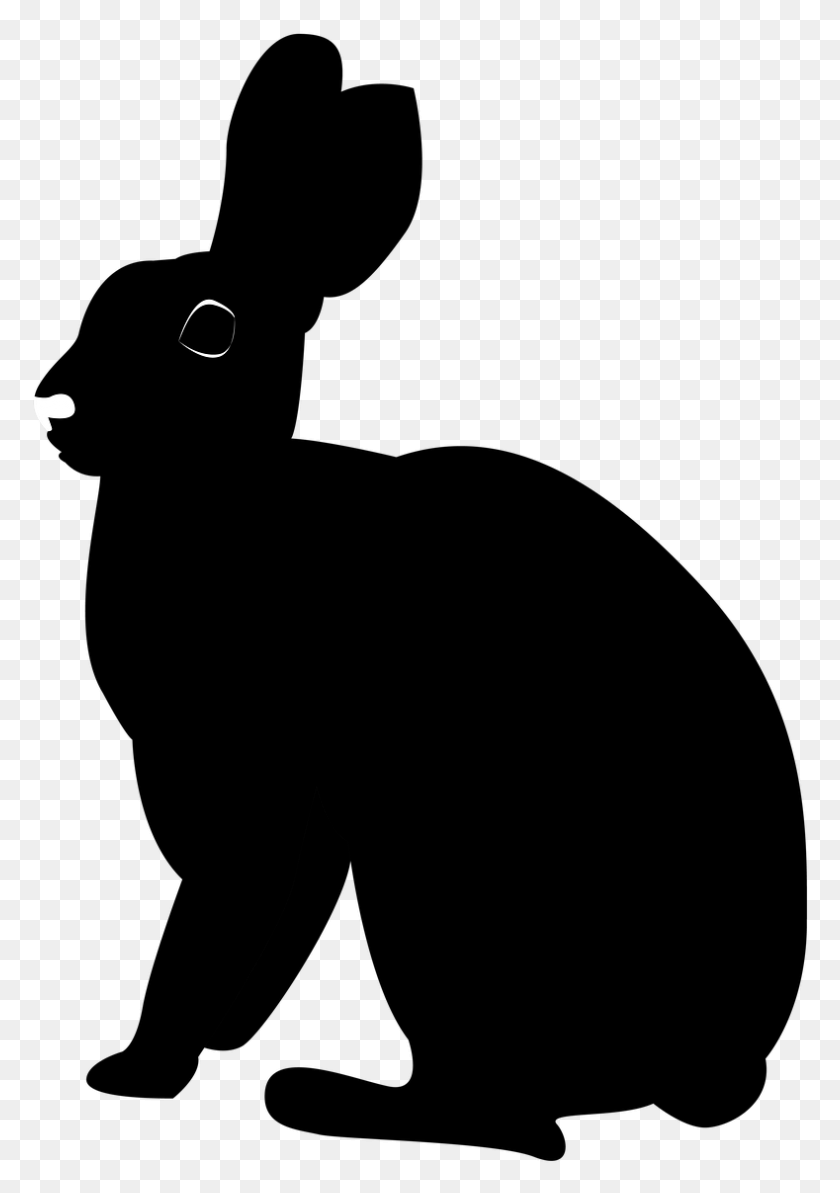 789x1147 Black Rabbit Illustration Pet Silhouette Sitting Rabbit Black And White Clipart, Outdoors, Face, Photography HD PNG Download