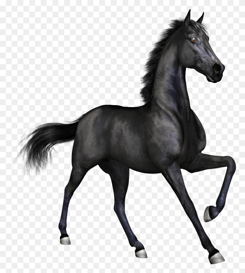 2223x2495 Black Race Horse Black Horse, Mammal, Animal, Antelope HD PNG Download