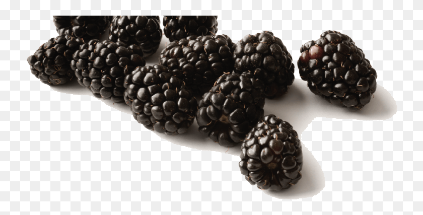 738x367 Black Raspberries Free Black Raspberry, Plant, Fruit, Food HD PNG Download