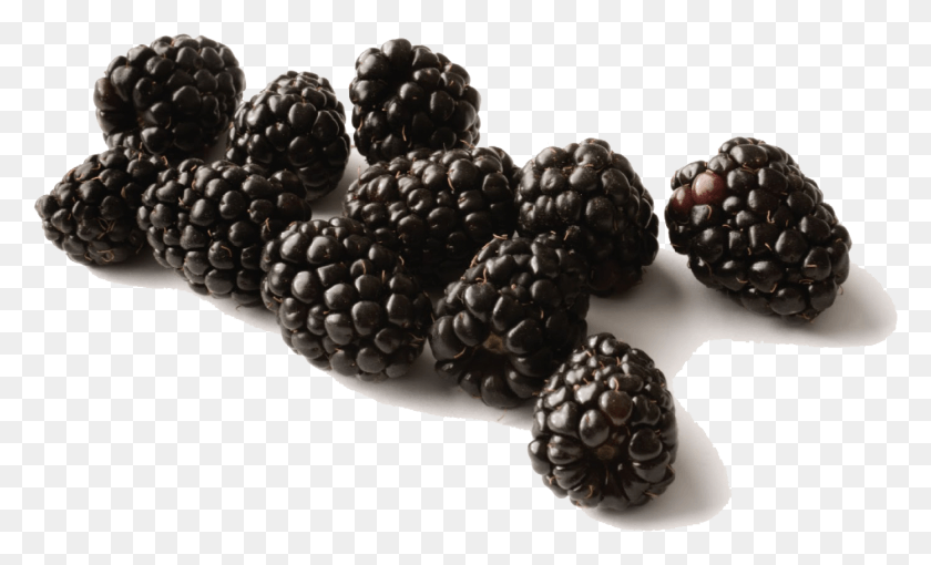 1393x804 Black Raspberries Transparent Background, Plant, Raspberry, Fruit HD PNG Download