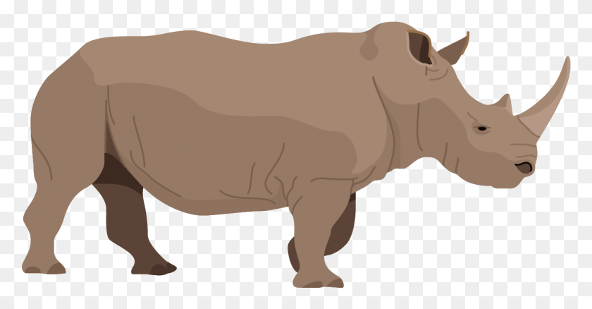 1299x631 Black Rhinoceros Black Rhinoceros, Animal, Mammal, Rhino HD PNG Download