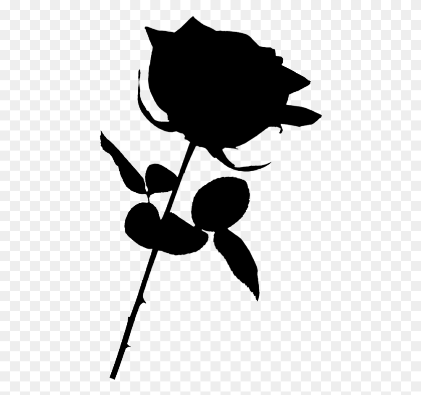 446x727 Черная Роза Черная Роза Прозрачный Фон, Серый, Мир Варкрафта Png Скачать