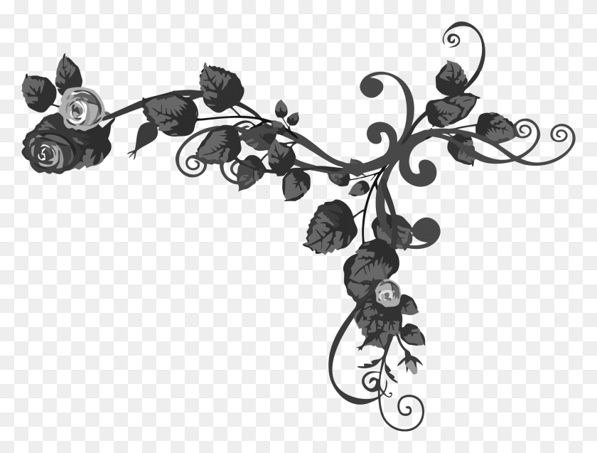 2334x1728 Black Rose Computer Icons Black And White Rose Transparent Leaf Black And White, Floral Design, Pattern, Graphics HD PNG Download