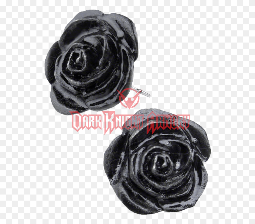 550x677 Black Rose Stud Earrings Roses Earring, Plant, Flower, Blossom HD PNG Download