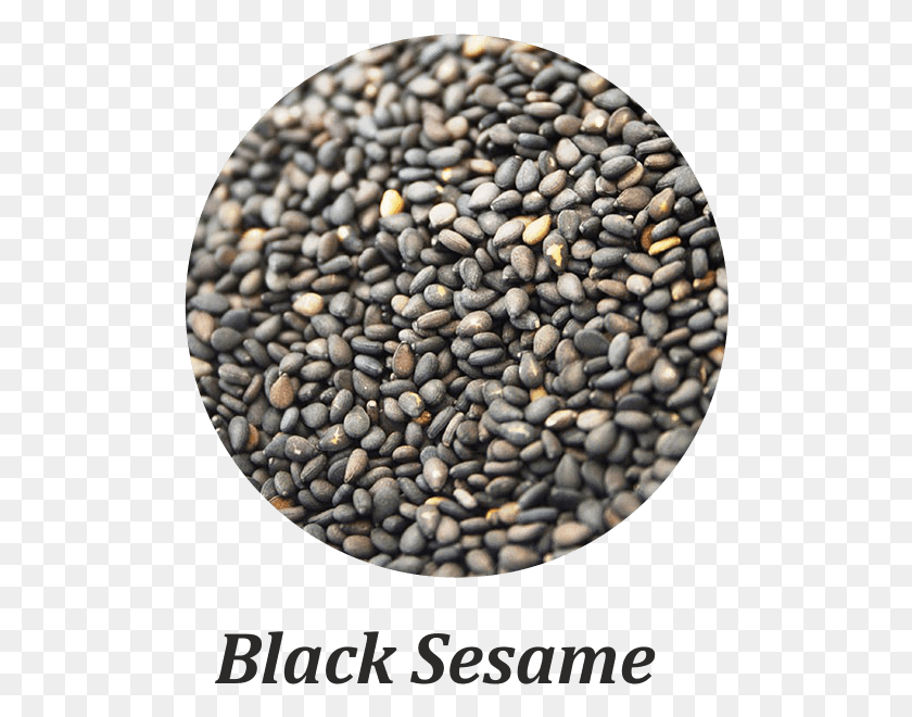 502x600 Black Sesame Seeds Bead, Plant, Food, Seasoning HD PNG Download