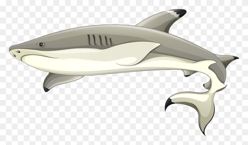 1265x703 Black Sharks Clip Art Three Blacktip Shark Cartoon, Sea Life, Fish, Animal HD PNG Download