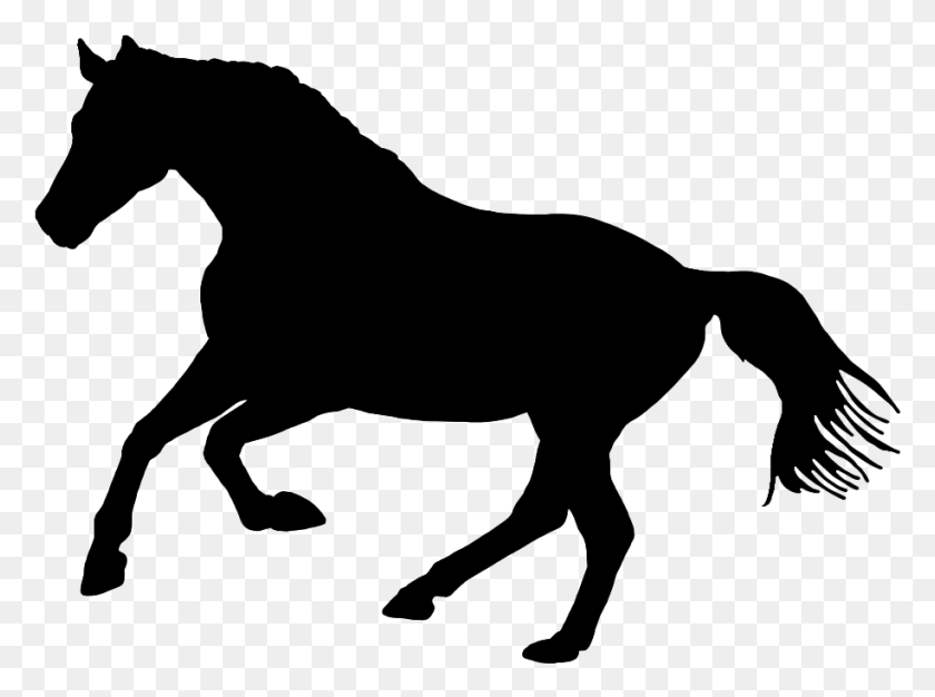 915x665 Black Silhouette Of Horse In Nature Silueta De Un Caballo, Gray, World Of Warcraft HD PNG Download