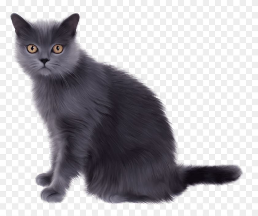 1424x1171 Черная Сидящая Кошка Серый Кот Картинки, Ангора, Домашнее Животное, Млекопитающее Hd Png Скачать