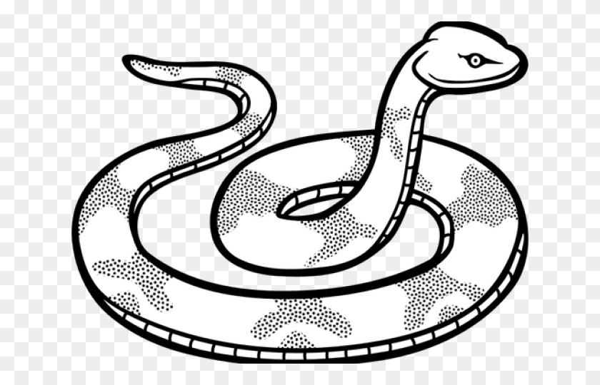 640x480 La Serpiente Negra, Texto, Reptil, Animal Hd Png