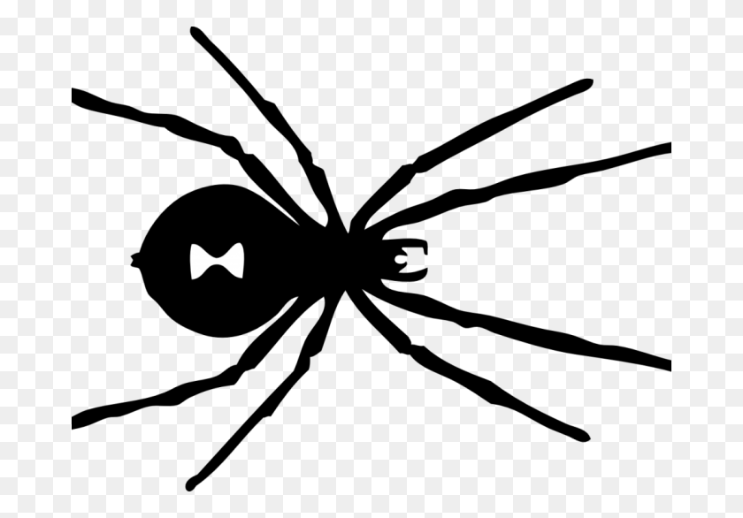 678x526 Black Spider Coloring, Bird, Animal, Logo HD PNG Download