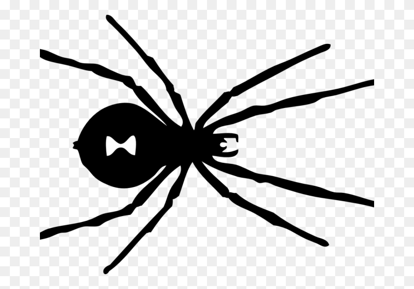 678x526 Araña Negra Para Colorear, Ave, Animal, Logo Hd Png