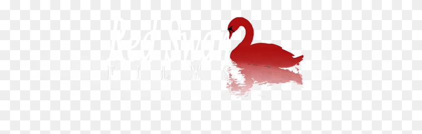 983x261 Black Swan, Animal, Bird, Flamingo HD PNG Download