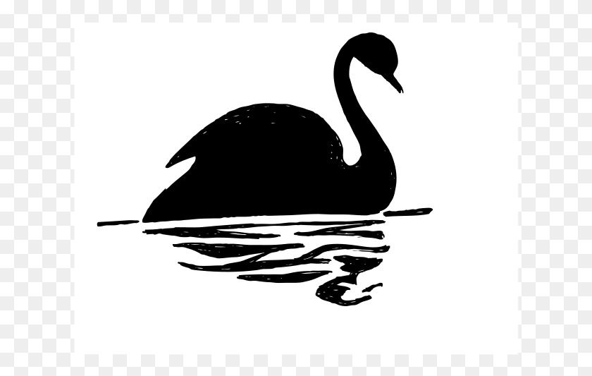 632x473 Черный Лебедь Птица Рисунок, Птица, Животное Hd Png Скачать