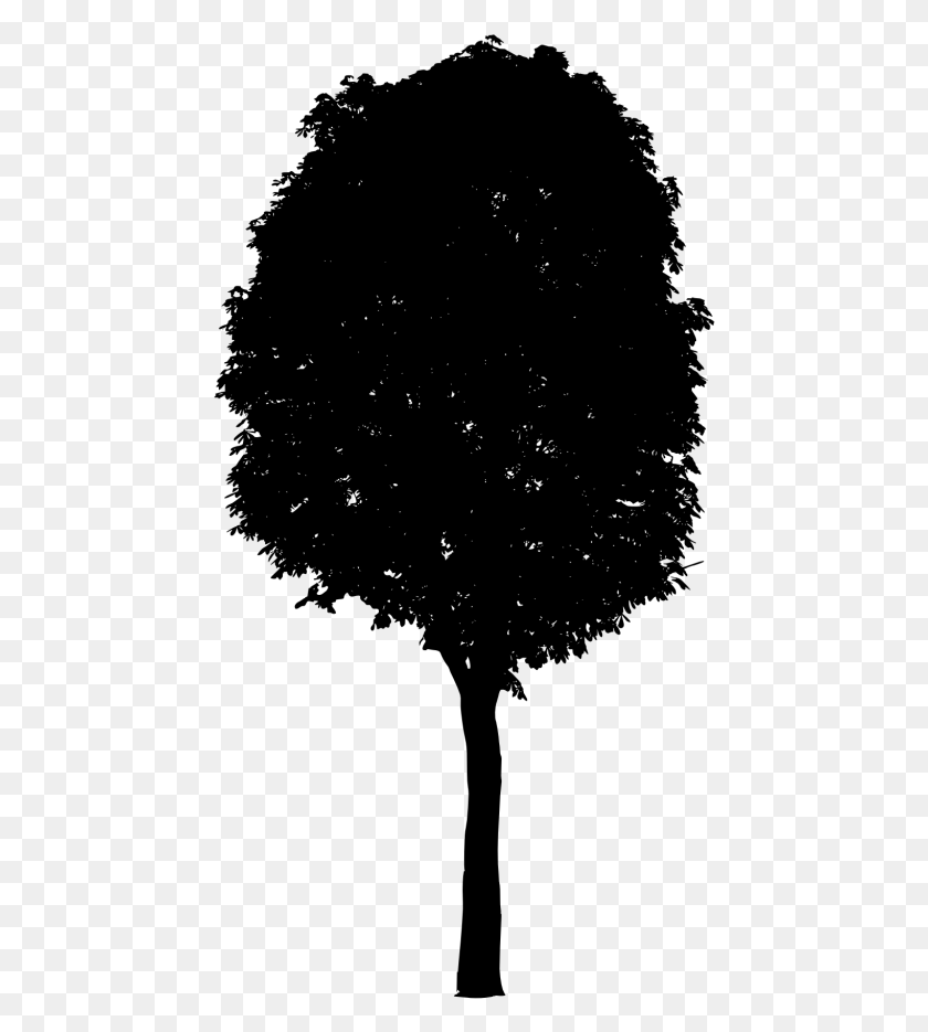 455x875 Black Tree Image Transparent Black Trees File, Gray, World Of Warcraft HD PNG Download