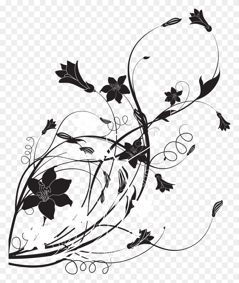 6607x7895 Black White Floral Decoration Clip Art, Graphics, Floral Design HD PNG Download