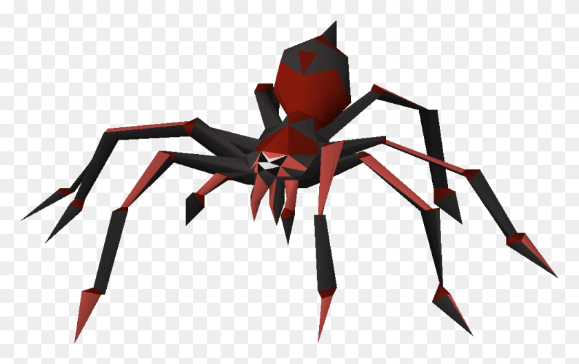 980x590 Black Widow, Animal, Paper, Invertebrate HD PNG Download