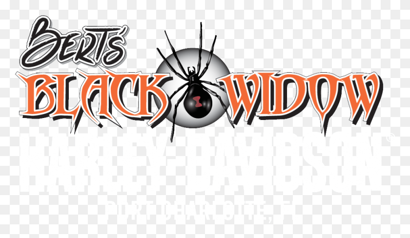 963x529 Black Widow Bert39s Black Widow Logo, Insect, Spider, Invertebrate HD PNG Download