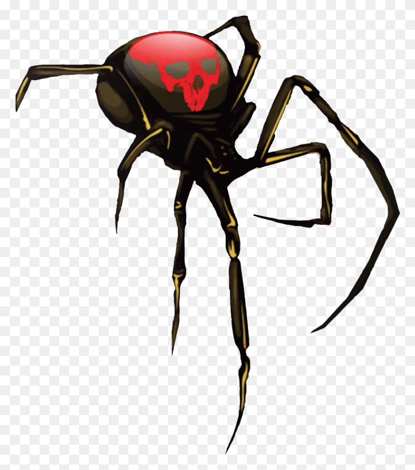 820x937 Black Widow Spider, Bow, Invertebrate, Animal HD PNG Download