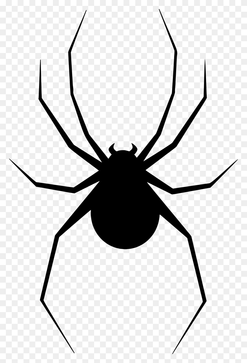 1508x2268 Black Widow Spider Silhouette, Gray, World Of Warcraft HD PNG Download