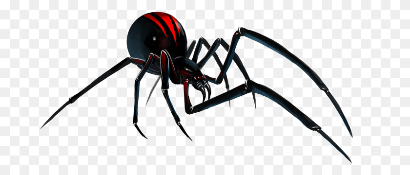 718x360 Black Widow Spider Transparent Background, Animal, Invertebrate, Black Widow, Insect Clipart PNG