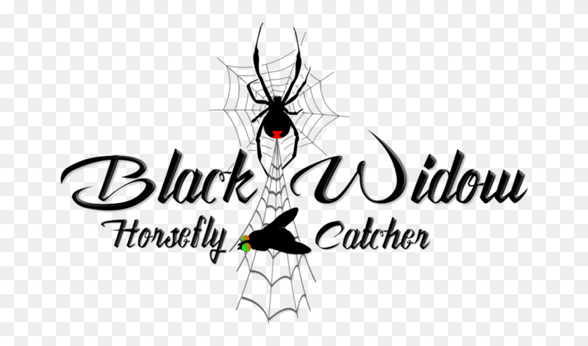 670x434 Black Widow Symbol, Text, Spider Web HD PNG Download