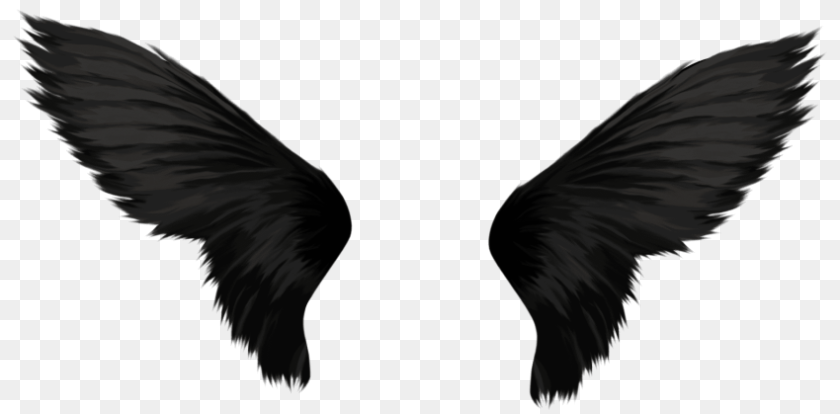 850x419 Black Wings, Animal, Bird Clipart PNG