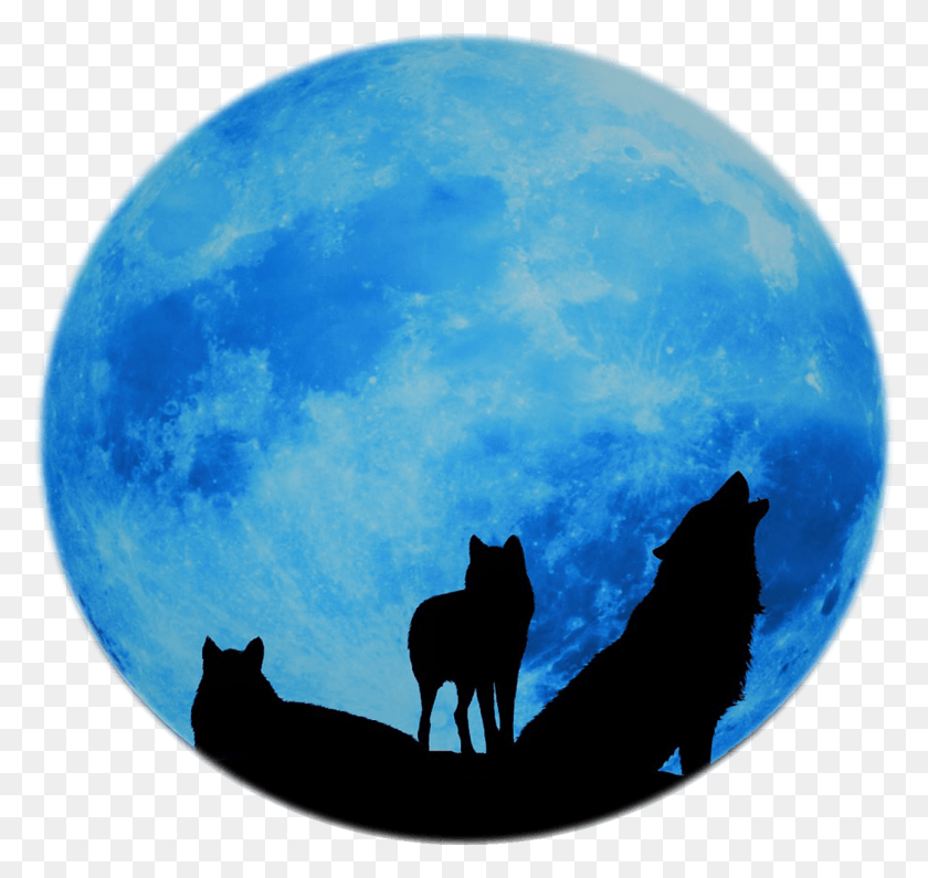 1298x1224 Black Wolf Ceramics Werewolf, Nature, Outdoors, Astronomy HD PNG Download