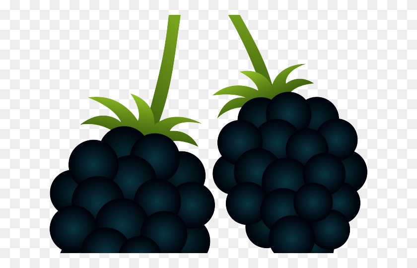 640x480 Blackberries Cliparts Blackberry Clipart, Plant, Grapes, Fruit HD PNG Download