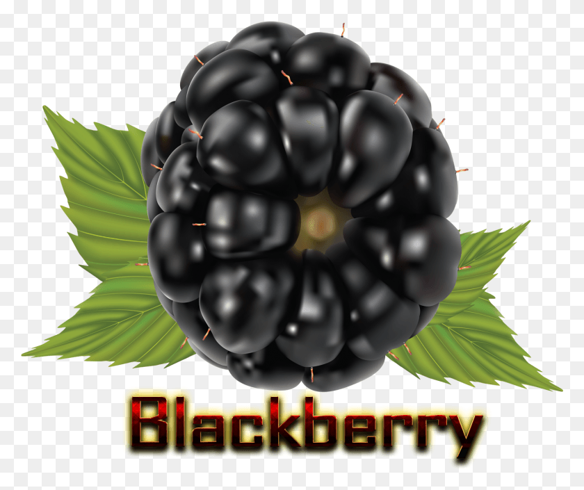 1393x1153 Blackberry, Plant, Raspberry, Fruit HD PNG Download