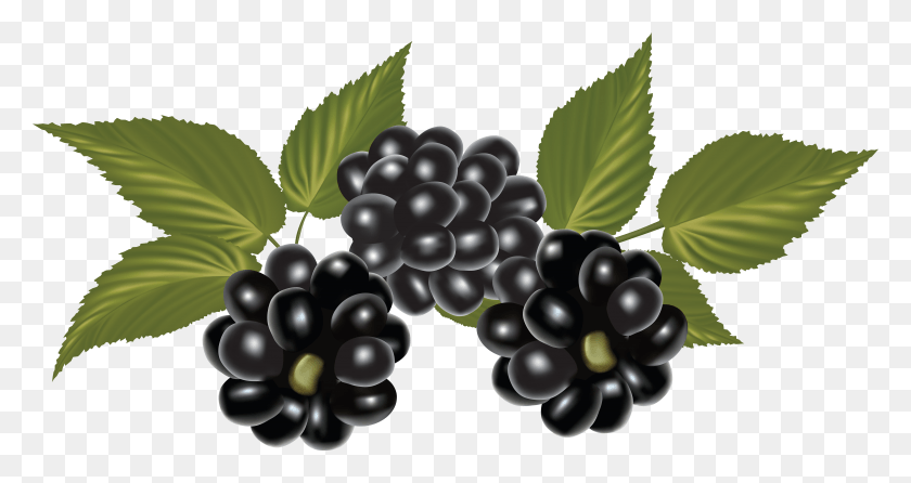 6994x3470 Blackberry HD PNG Download