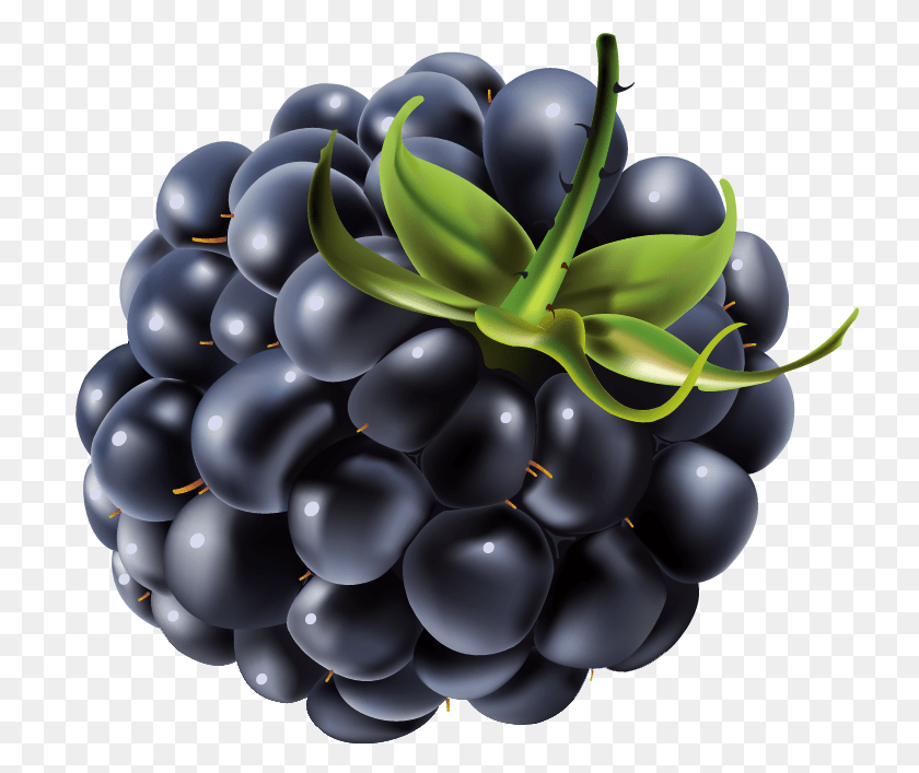 792x707 Blackberry, Berry, Food, Fruit, Plant Transparent PNG