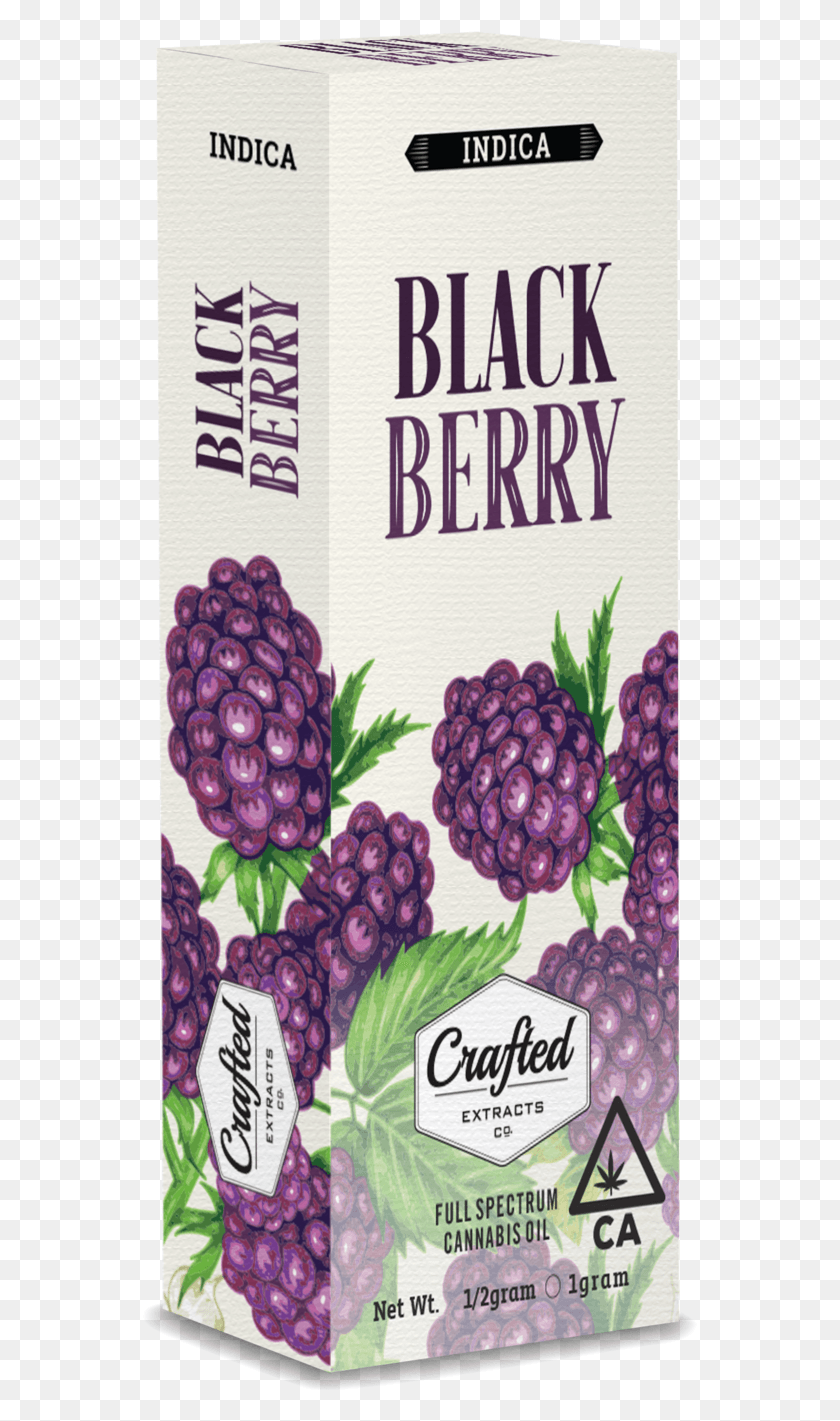 555x1361 Blackberry Boysenberry, Plant, Fruit, Food HD PNG Download