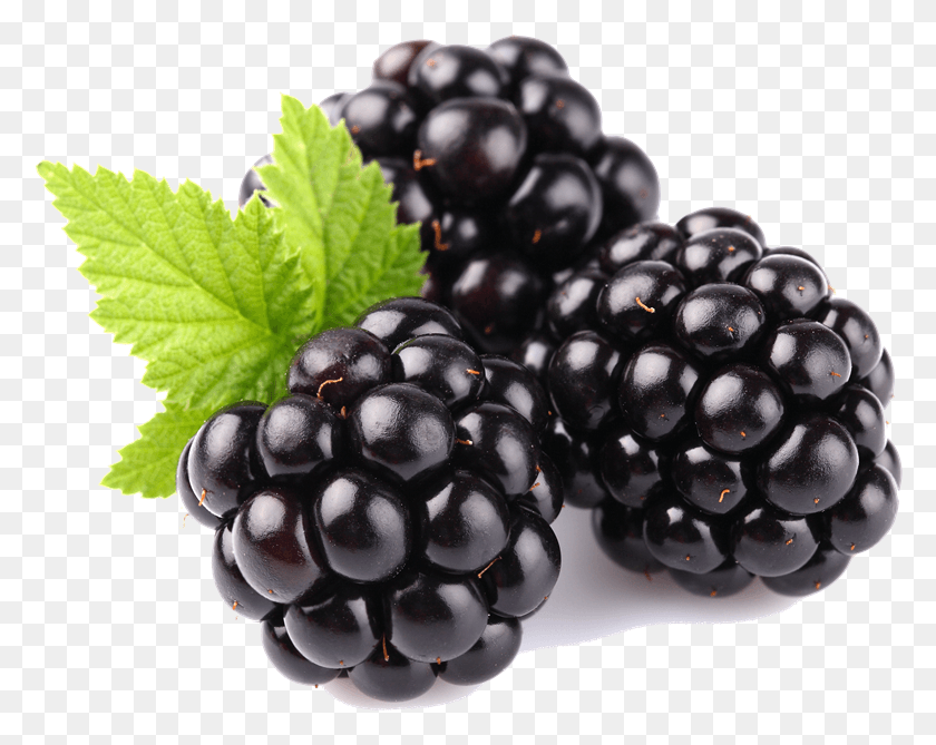 780x609 Blackberry Fruit, Blackberry Fruit, Planta, Alimentos, Uvas Hd Png