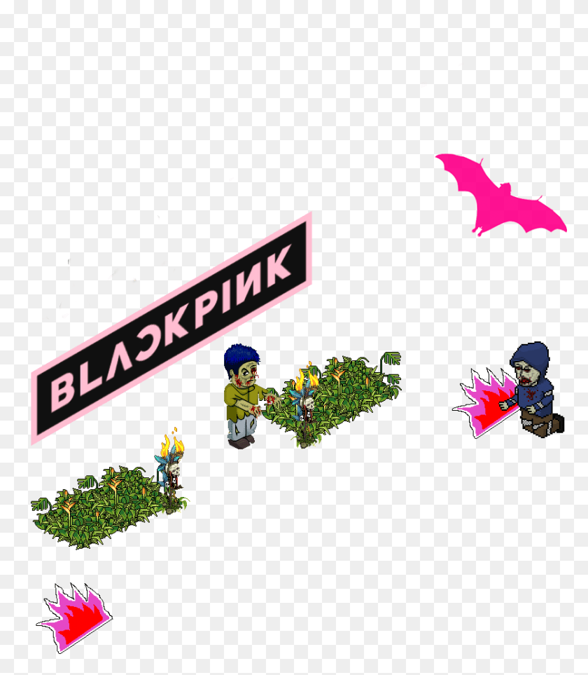 836x968 Blackpink Diseño Gráfico, Vegetación, Planta, Persona Hd Png