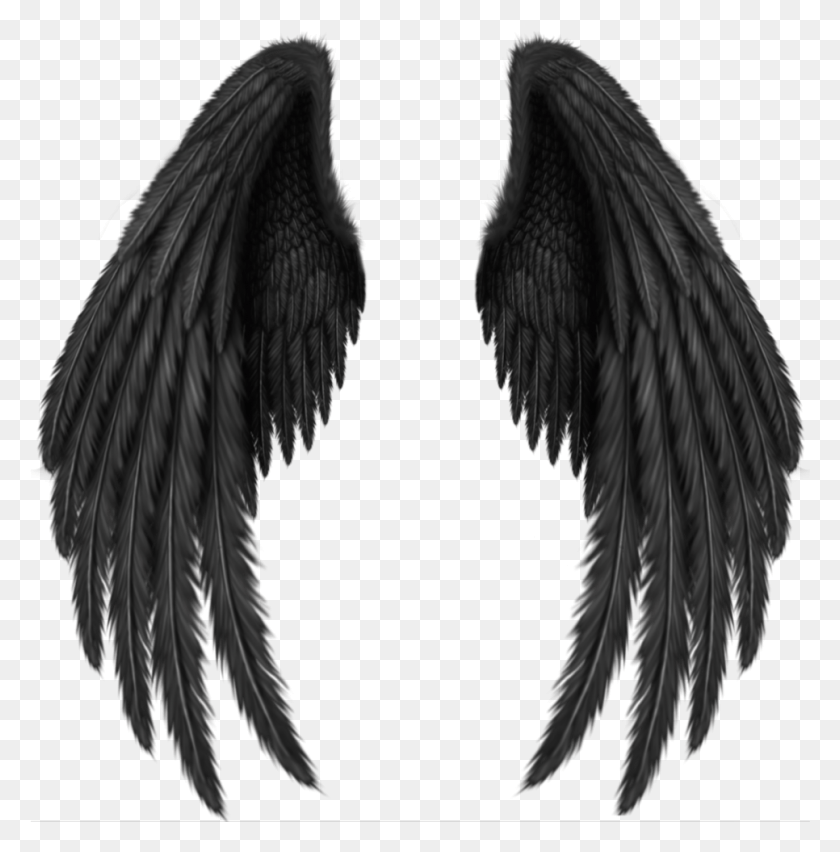 966x981 Blackwings Brokenangel Wings Freetoedit Black Angel Wings, Bird, Animal HD PNG Download